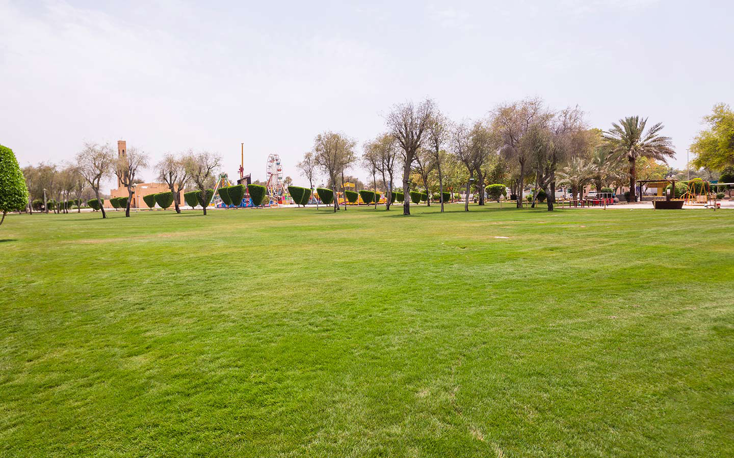 Saqr-Park-trees